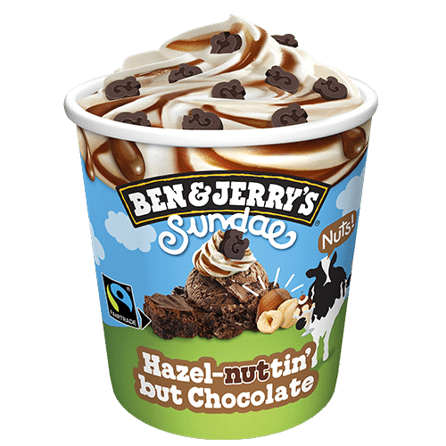 Ben & Jerry's 465ml